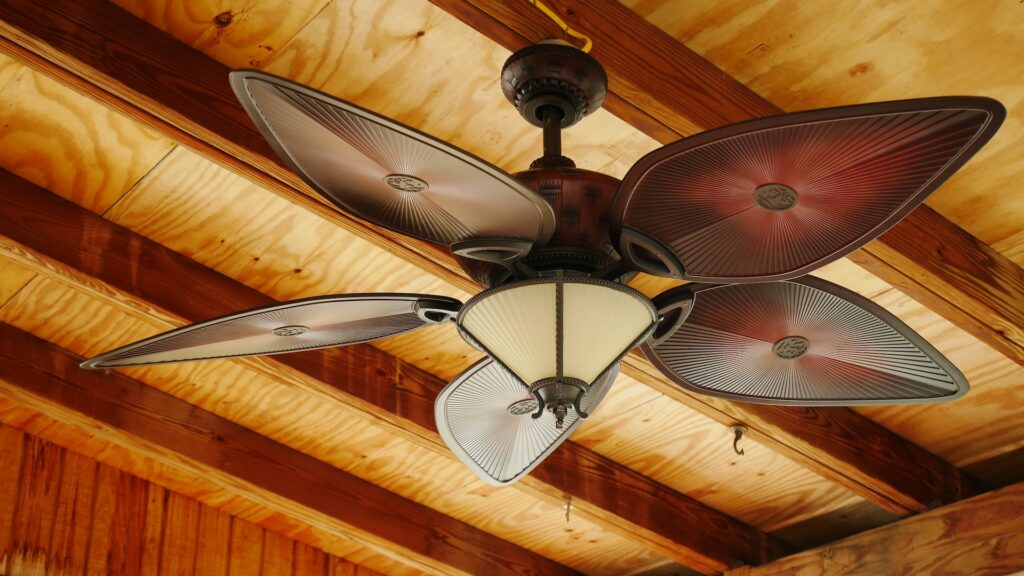 Ceiling Fan rotates clockwise for winter